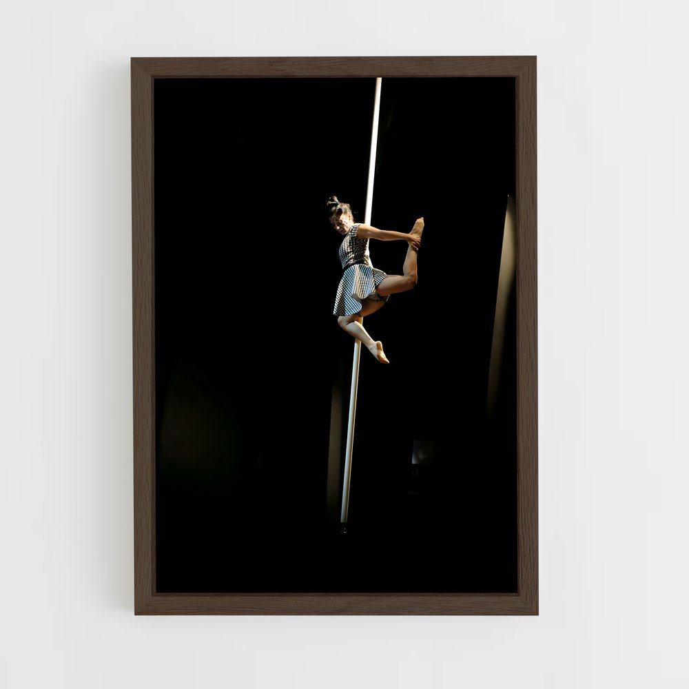 Poster Shadow Dance – affiche Danse (vue 5)